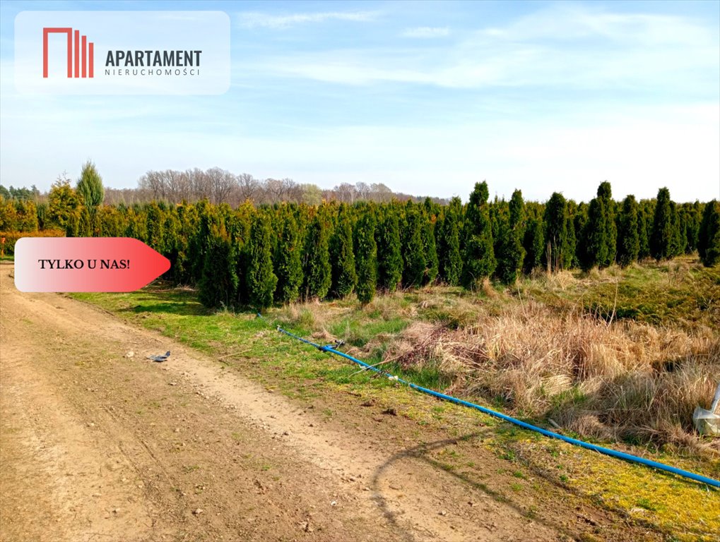 Działka gospodarstwo rolne na sprzedaż Kopaszyn  17 300m2 Foto 5