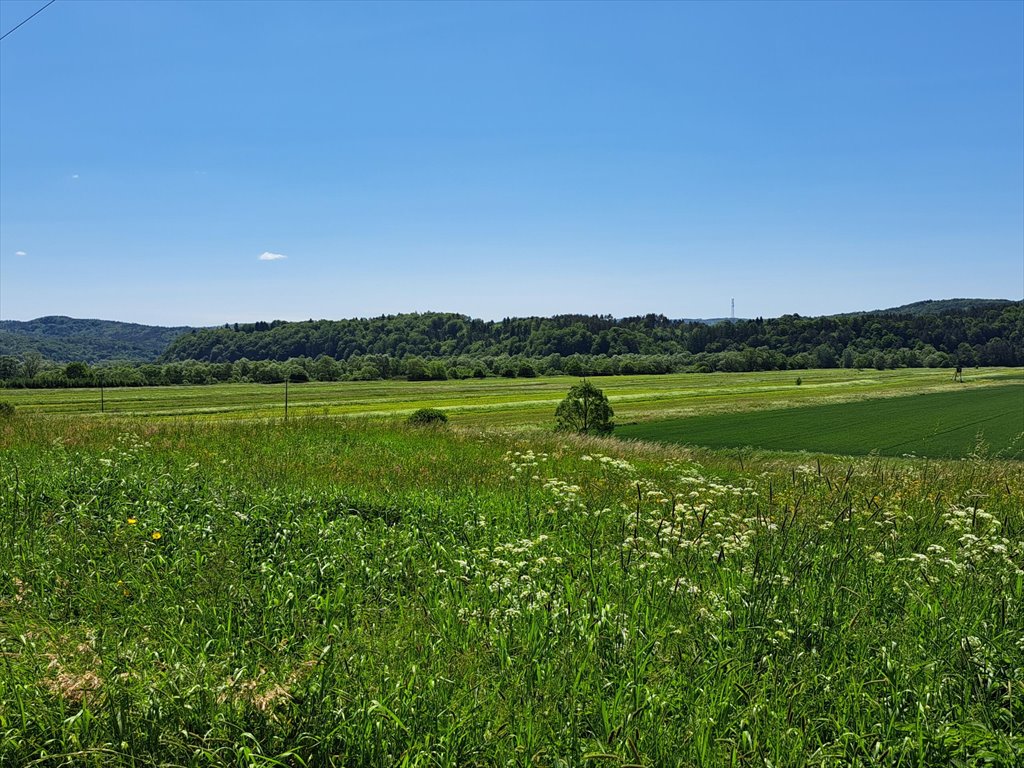 Działka rolna na sprzedaż Ulucz  529m2 Foto 3