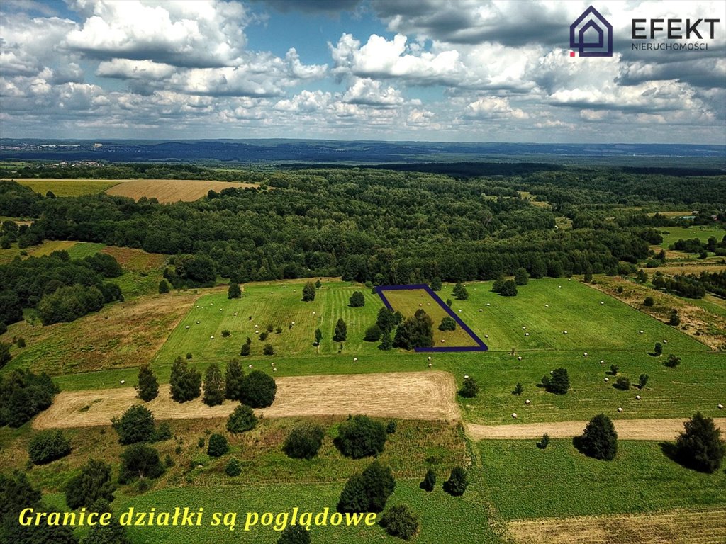 Działka rolna 5539 m² z widokami na Beskidy - polecam! Płaza  5 539m2 Foto 1