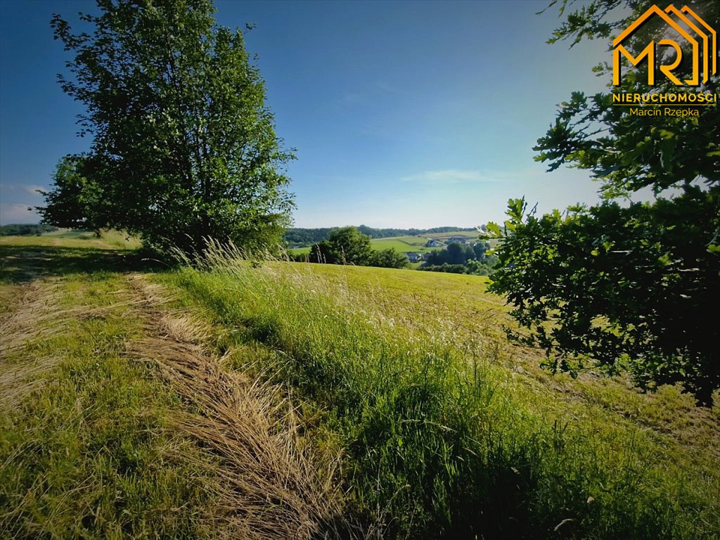 Działka inna na sprzedaż Wola Lubecka  47 900m2 Foto 15