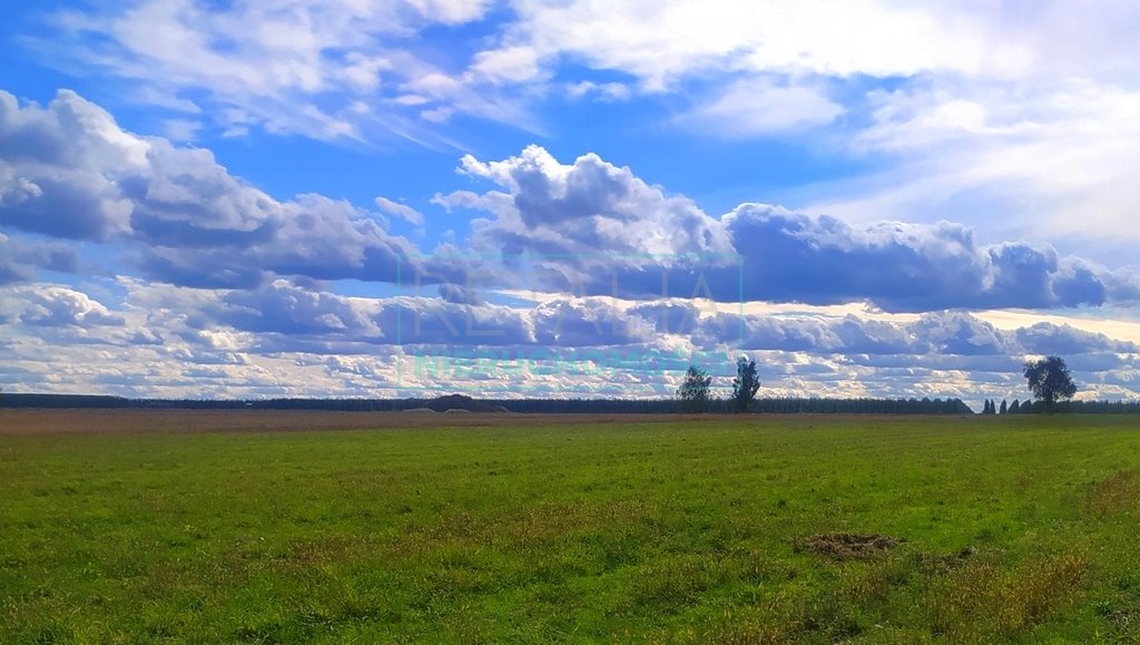 Działka rolna na sprzedaż Wola Pieczyska  51 437m2 Foto 5