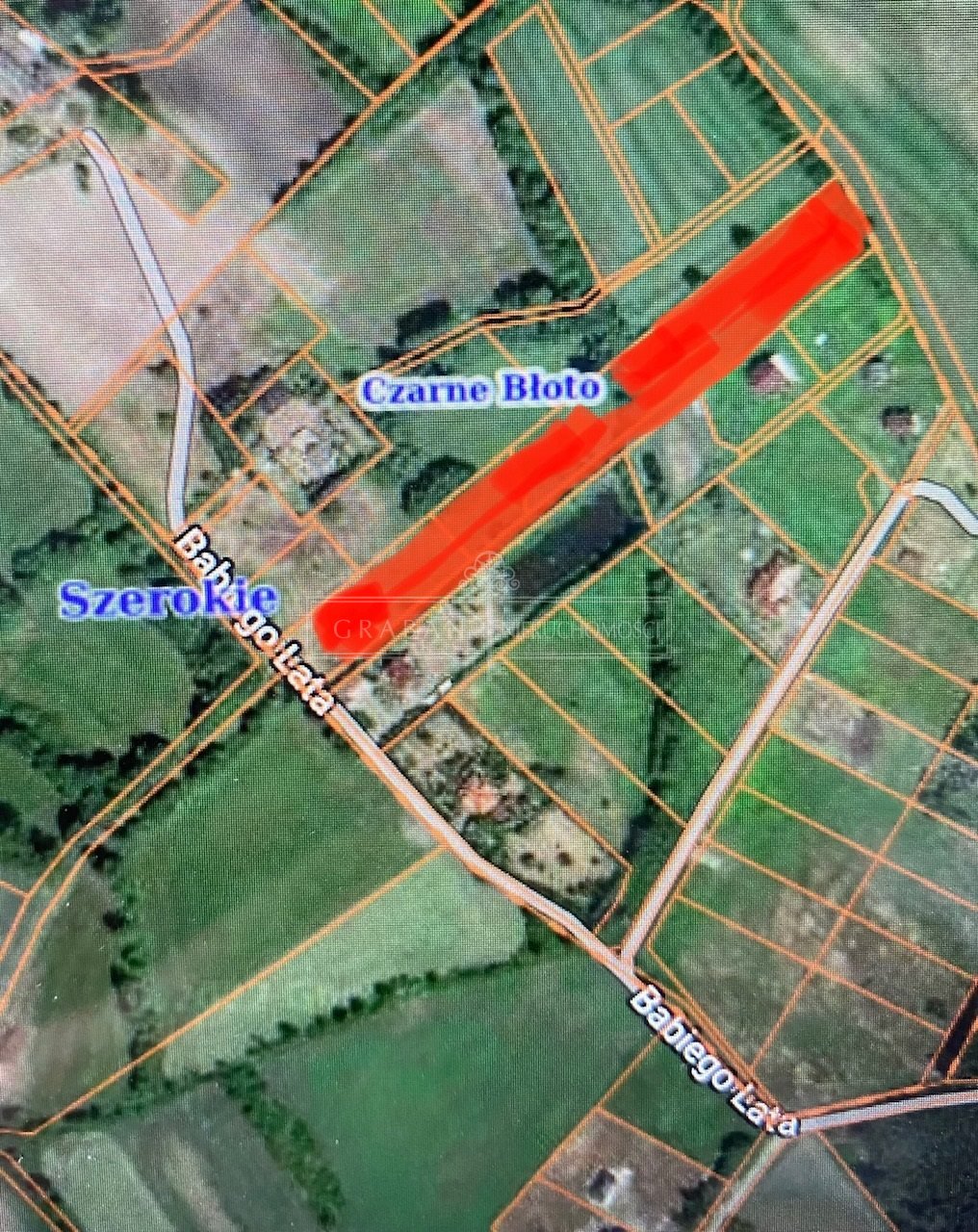 Inwestycyjne działki w Czarne Błoto, 9151 m2, media, las Czarne Błoto  9 151m2 Foto 1