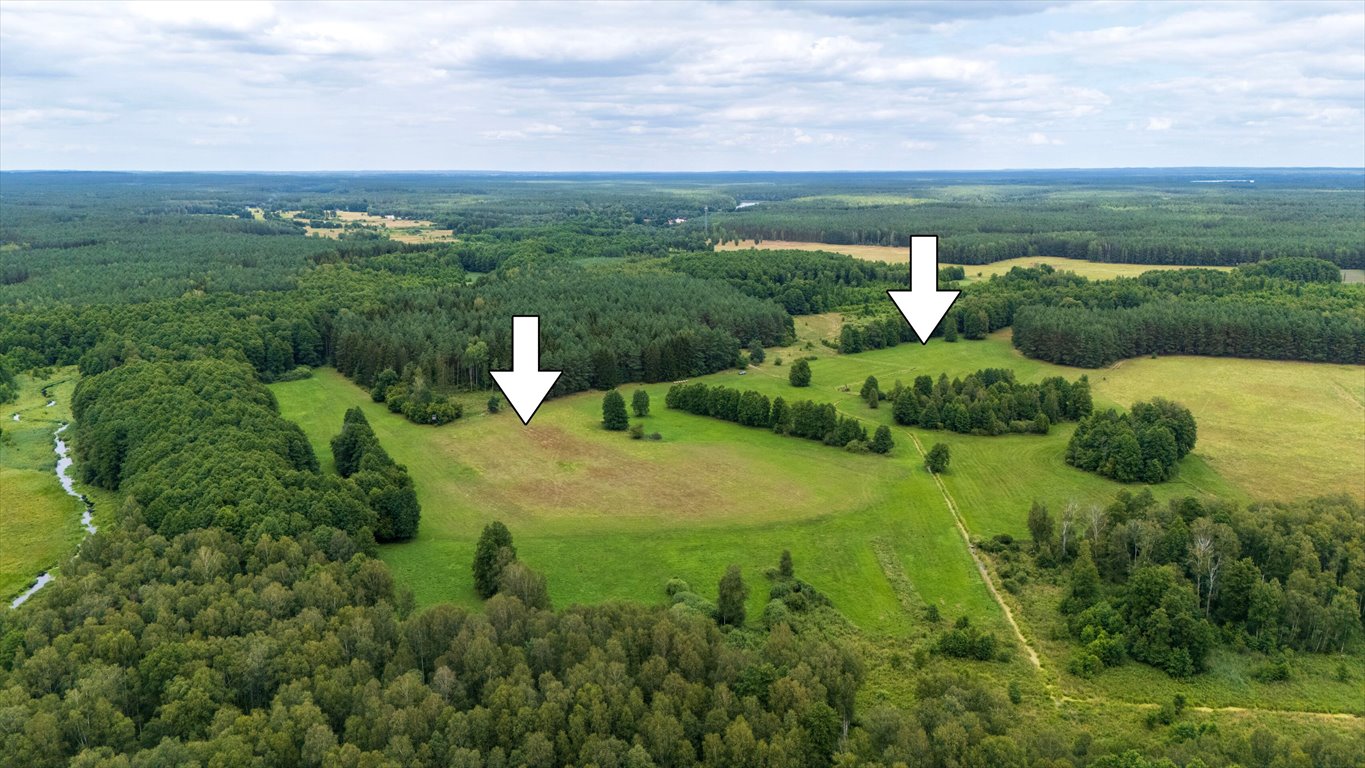 Działka rolna na sprzedaż Rekownica  120 300m2 Foto 1