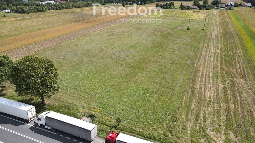 Działka inwestycyjna na sprzedaż Horbów-Kolonia  17 785m2 Foto 3