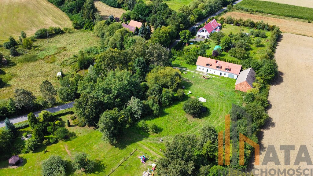 Działka budowlana na sprzedaż Kalinowice Górne  2 900m2 Foto 2