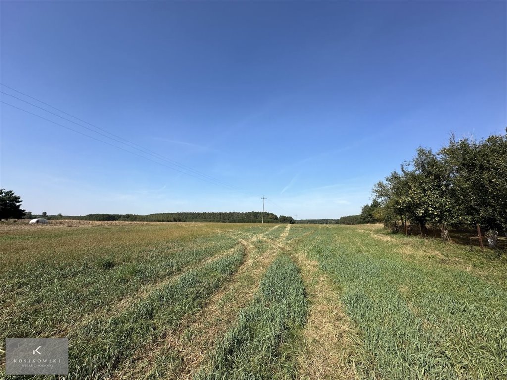 Działka inna na sprzedaż Namysłów, gm.Świerczów  1 934m2 Foto 5