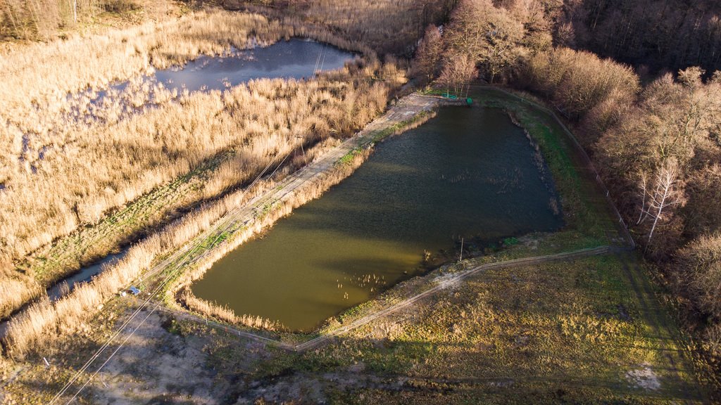 Działka budowlana na sprzedaż Żary, Bociania  7 776m2 Foto 5