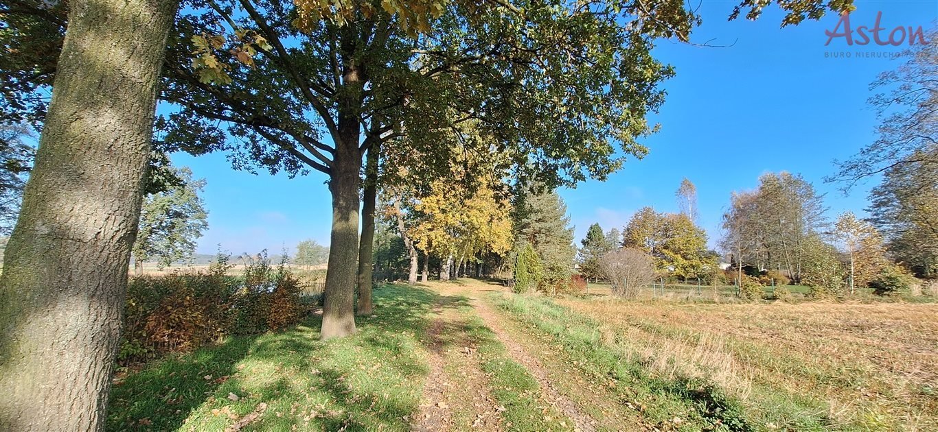 Działka inna na sprzedaż Miedźna  733m2 Foto 7