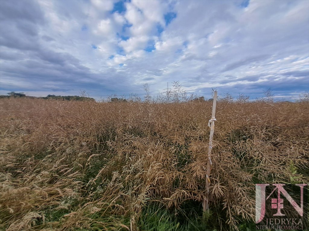 Działka budowlana na sprzedaż Kraków, Nowa Huta, Wolica  1 000m2 Foto 8