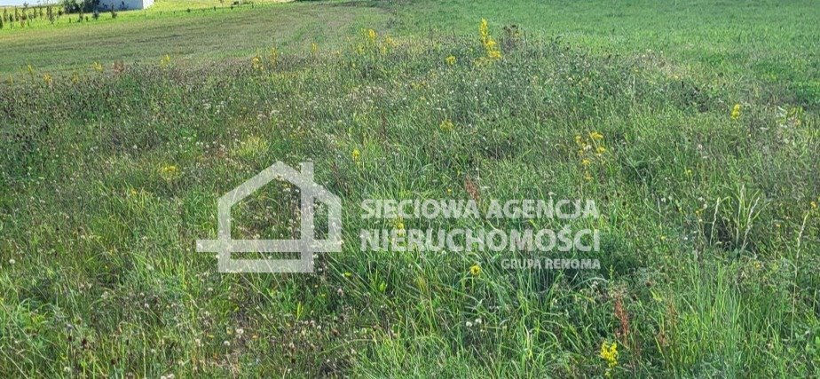 Działka budowlana na sprzedaż Skrzeszewo Żukowskie  1 820m2 Foto 10