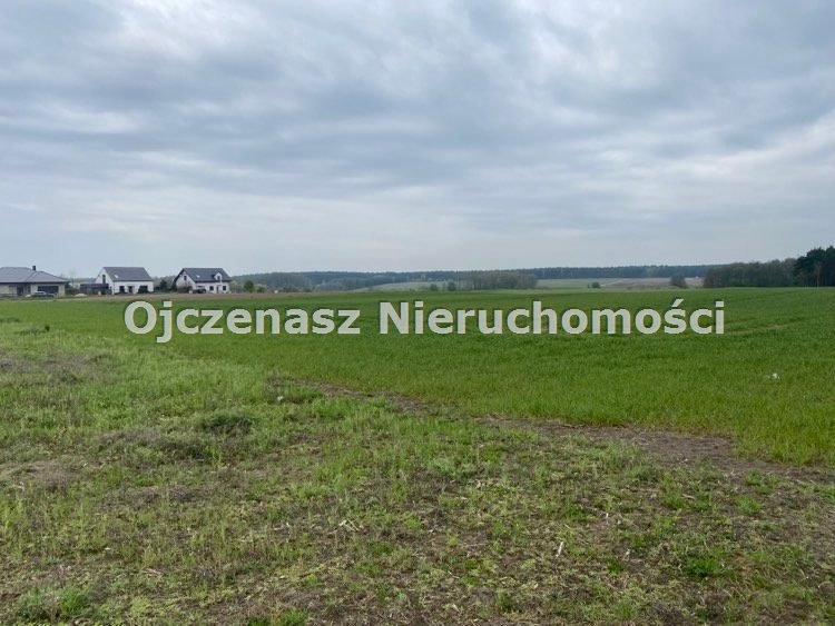 Zdjęcie 5
