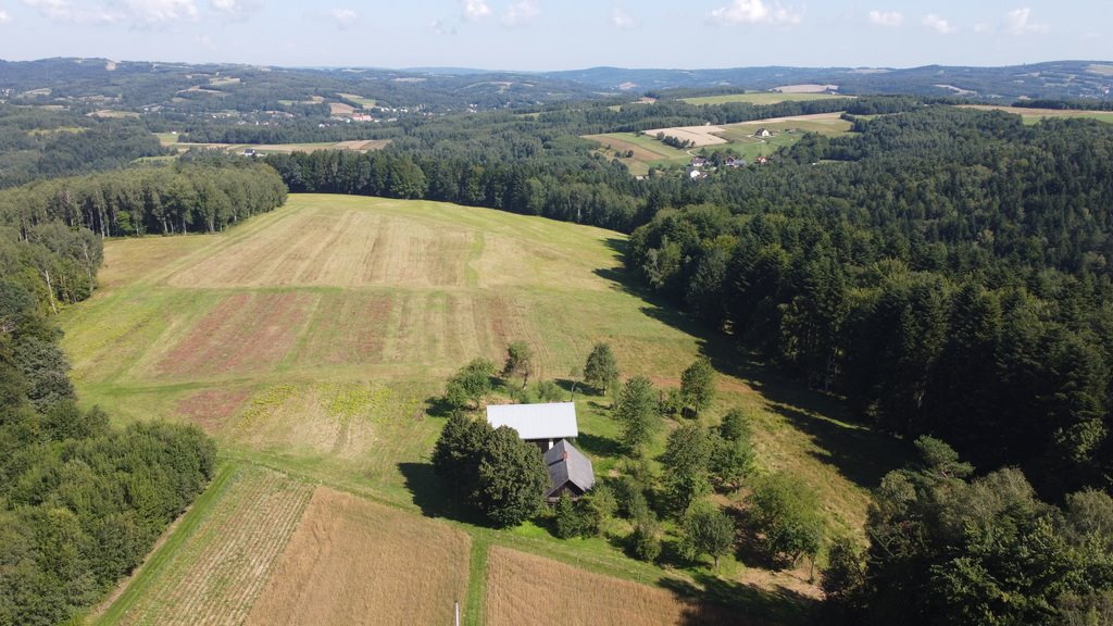 Działka budowlana na sprzedaż Lutcza  96 200m2 Foto 11