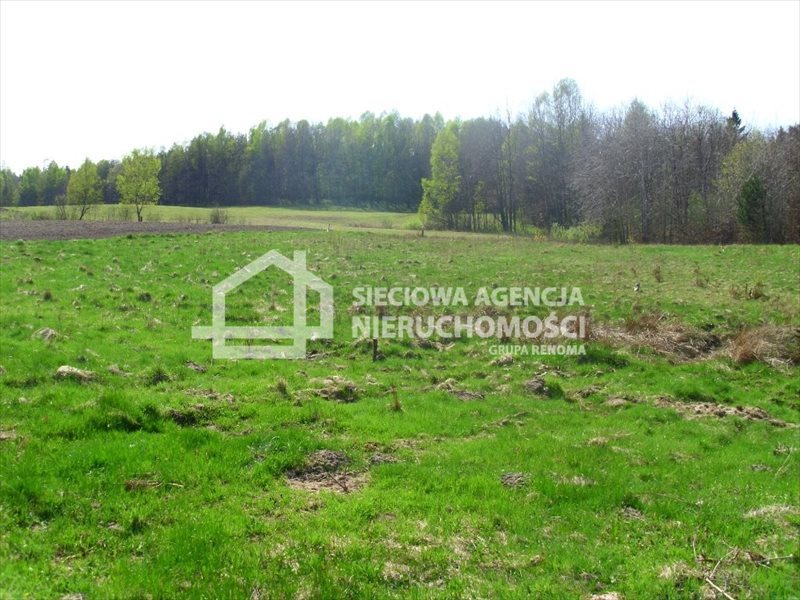 Działka budowlana na sprzedaż Sitno 3 053m2 Foto 1 Działka budowlana na sprzedaż Sitno 3 053m2 Foto 1