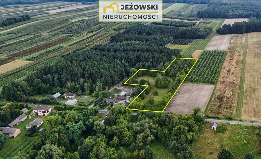 Działka budowlana na sprzedaż Mazanów  11 027m2 Foto 10