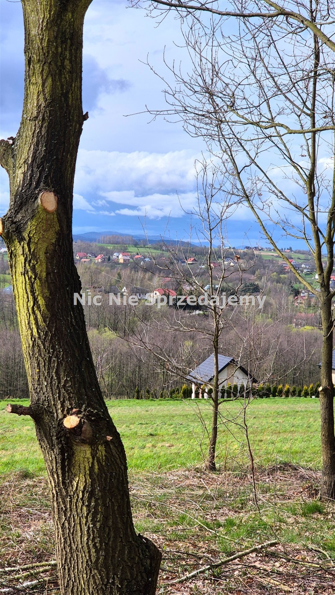 Działka budowlana na sprzedaż Gnojnik, Gnojnik, Gnojnik, Gnojnik  1 470m2 Foto 5