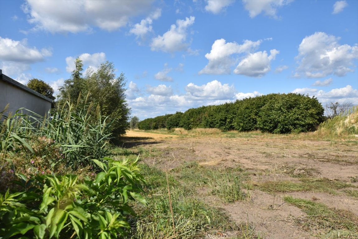 Działka budowlana na sprzedaż Żytowice  1 185m2 Foto 5