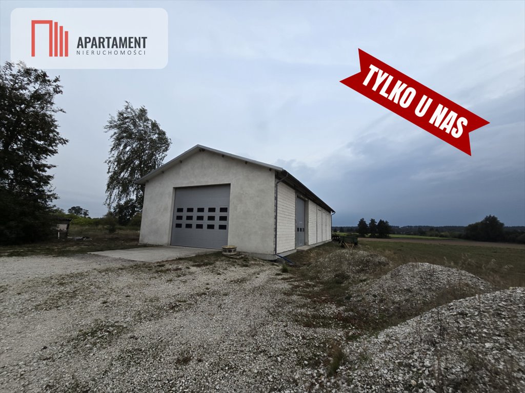 Magazyn na wynajem Wąsosz, Wierzbowa  360m2 Foto 3