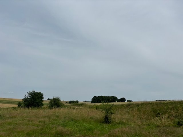 Działka inwestycyjna na sprzedaż Gryfów Śląski  5 400m2 Foto 6