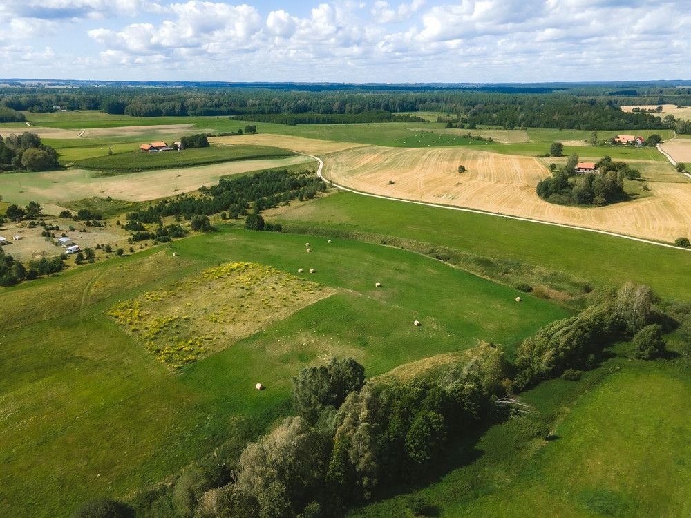 Działka rolna na sprzedaż Targowo  3 365m2 Foto 11