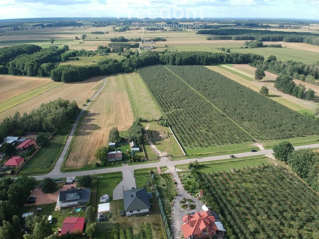 Działka inna na sprzedaż Filipinów  3 000m2 Foto 3