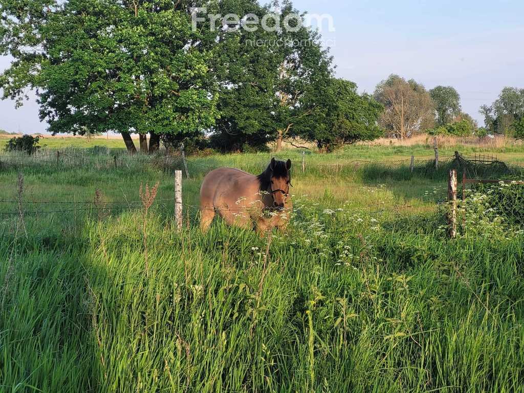 Działka budowlana na sprzedaż Świnoujście, 1 Maja  873m2 Foto 7