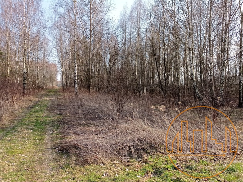 Działka budowlana na sprzedaż Glinianka  1 332m2 Foto 5