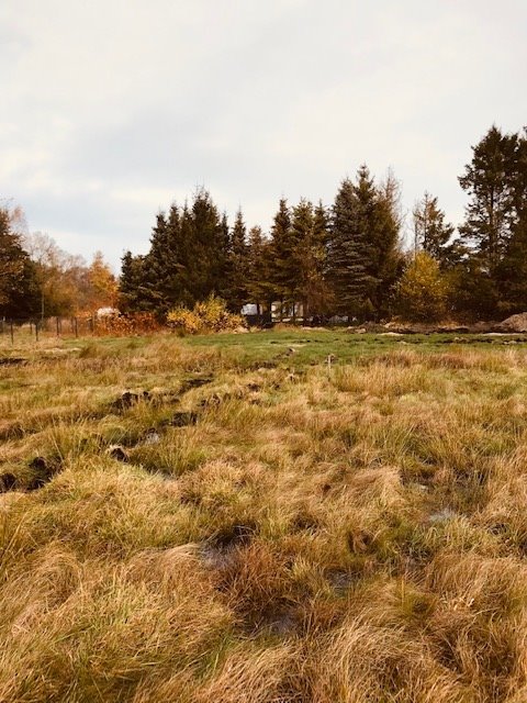 Działka rolna na sprzedaż Krokowa, Karwieńskie Błota Drugie  600m2 Foto 1