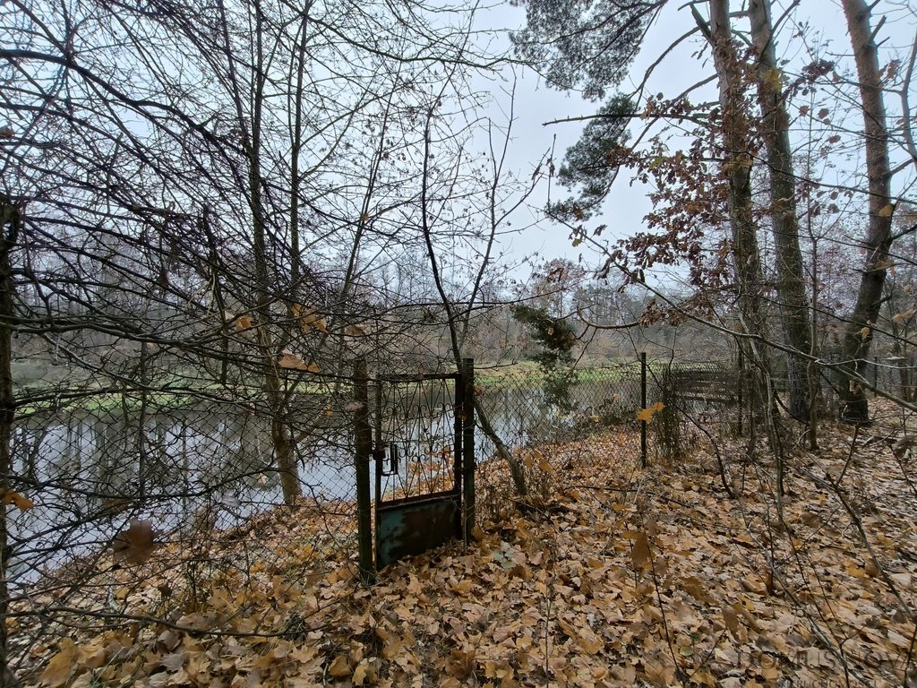 Działka rekreacyjna na sprzedaż Borkowo, Rzeczna  2 302m2 Foto 7