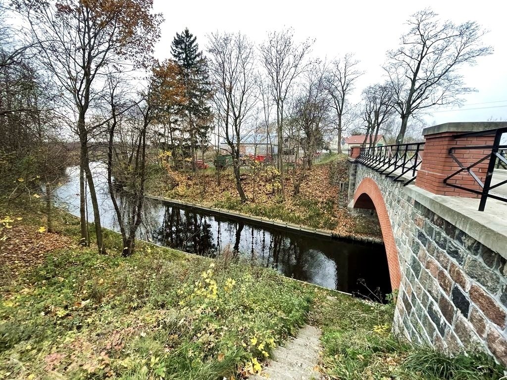 Działka rolna na sprzedaż Dobrzyki  2 000m2 Foto 1