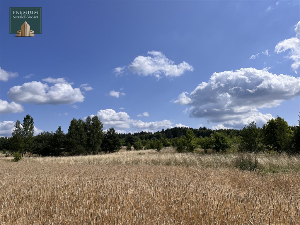 Działka rolna na sprzedaż Letniki  2 908m2 Foto 3