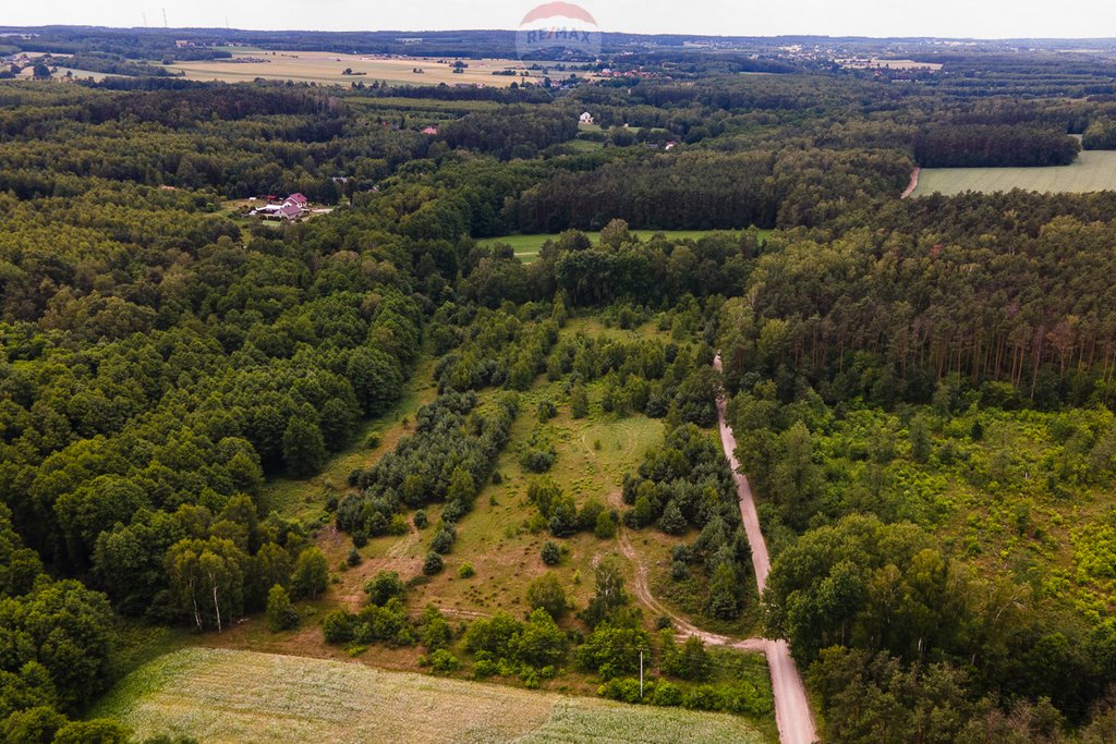 Działka siedliskowa na sprzedaż Boginia  53 419m2 Foto 3