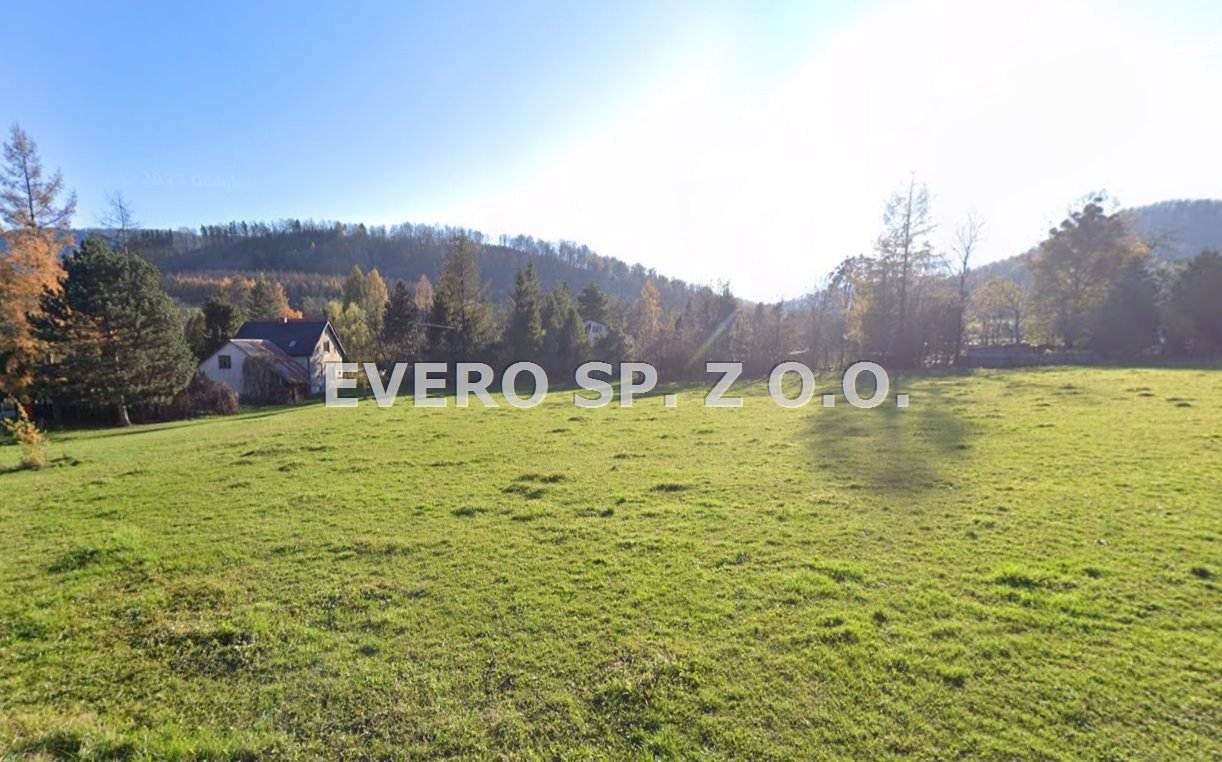 Działka inna na sprzedaż Cisownica, Widokowe działki budowlane - MPZP, media  1 497m2 Foto 1