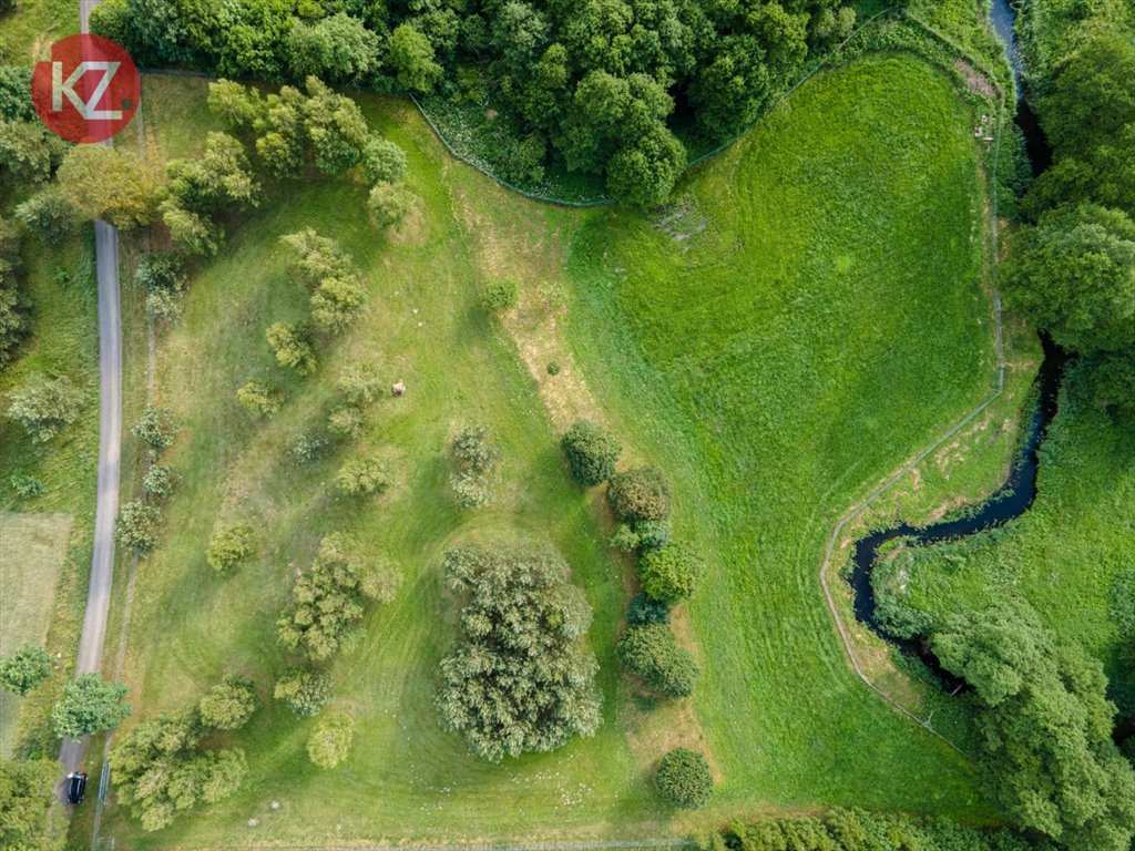 Działka budowlana na sprzedaż Żeleźnica  15 000m2 Foto 11