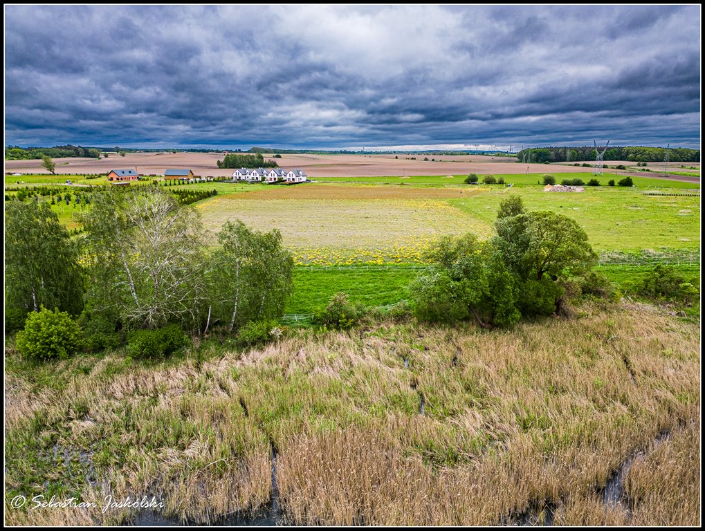 Działka inwestycyjna na sprzedaż Pawłowice, Pawłowicka  31 488m2 Foto 7