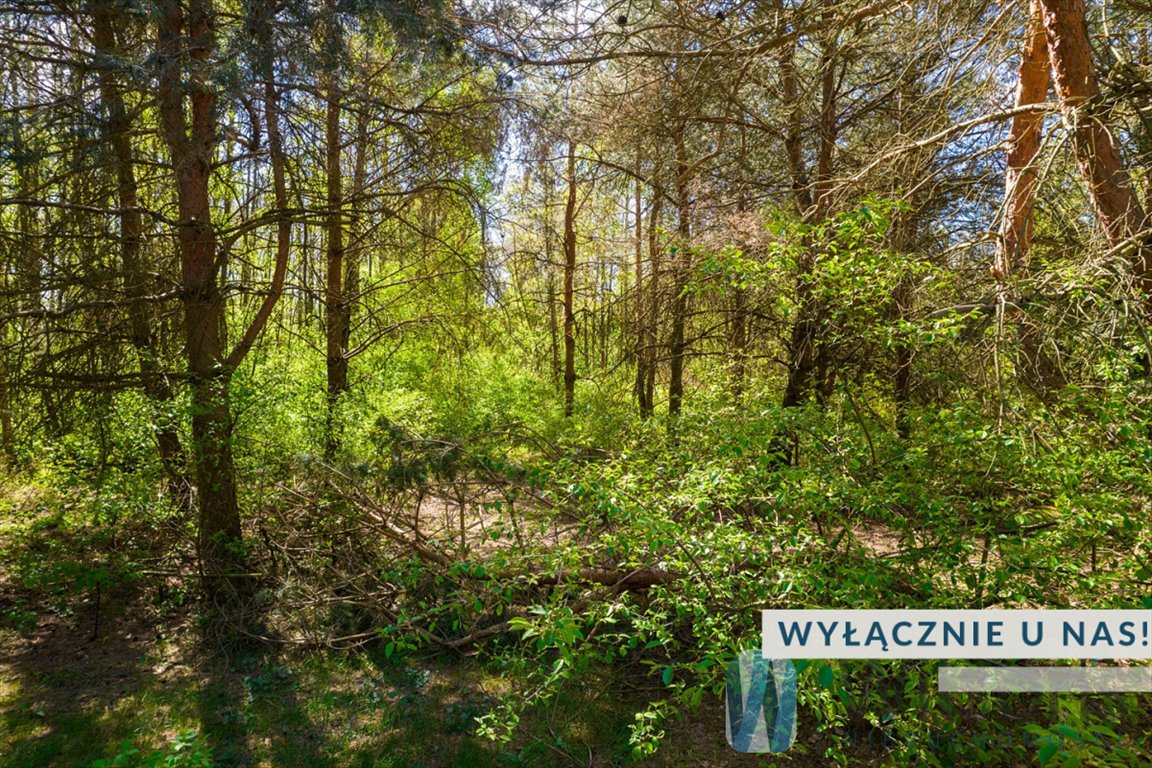 Działka rolna 13 000 m² z możliwością budowy w Załuskach Załuski  13 000m2 Foto 1