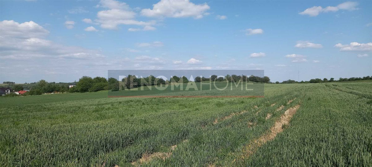 Działka budowlana na sprzedaż Słup  2 060m2 Foto 4