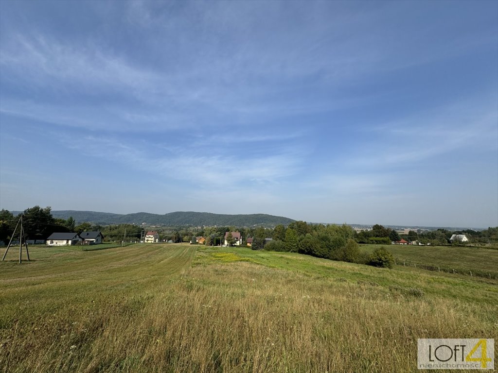 Działka inna na sprzedaż Dąbrówka Szczepanowska  5 600m2 Foto 5