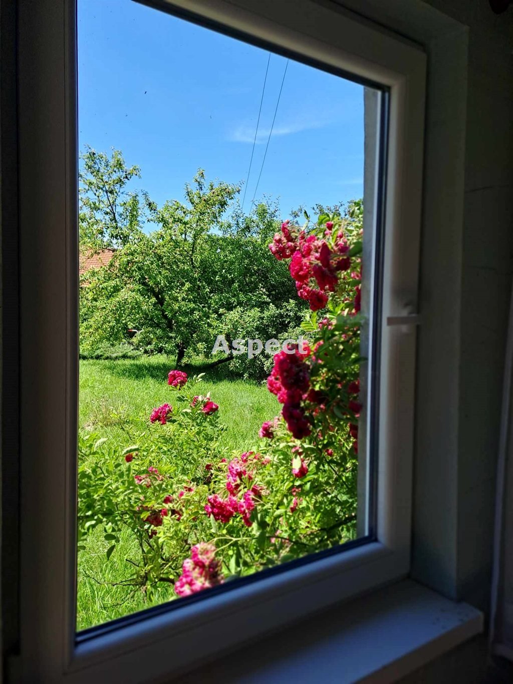 Działka budowlana na sprzedaż Wieprz  2 260m2 Foto 7