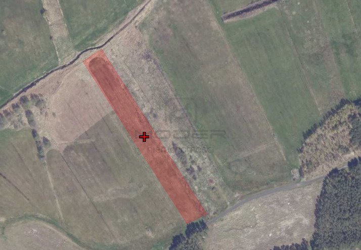 Działka rolna 1 ha w Lemierzycach – teren bez zabudowy Lemierzyce  10 000m2 Foto 1