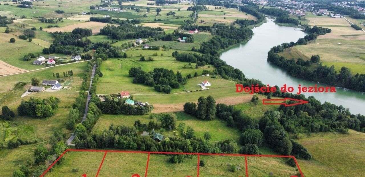 Działka rolna na sprzedaż Filipów  3 000m2 Foto 1