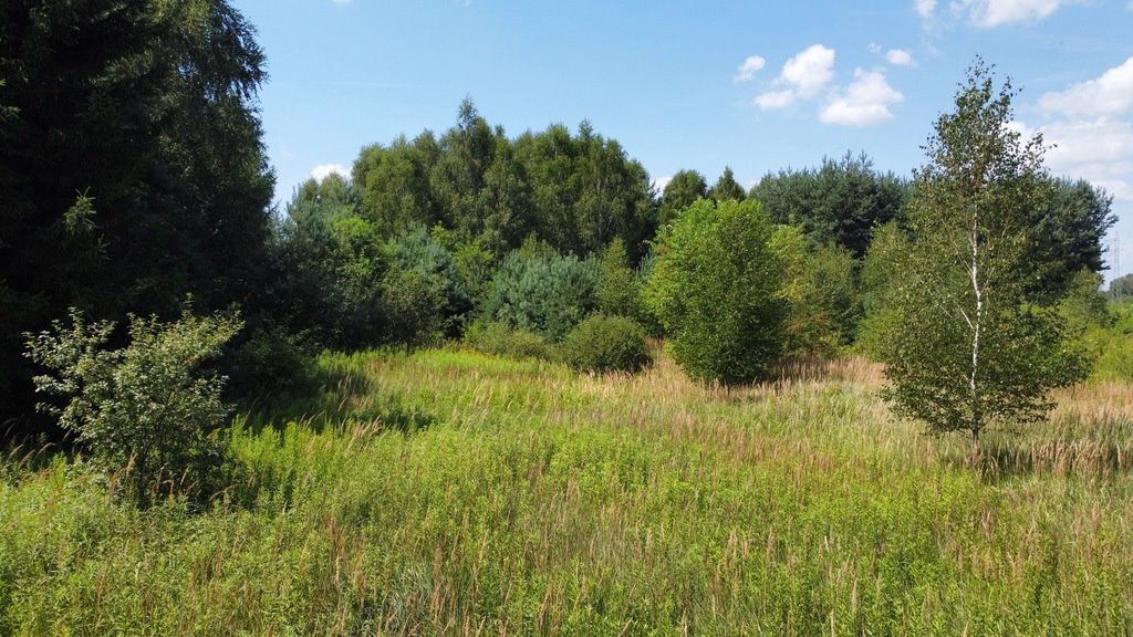 Działka budowlana na sprzedaż Łańcut  1 925m2 Foto 6