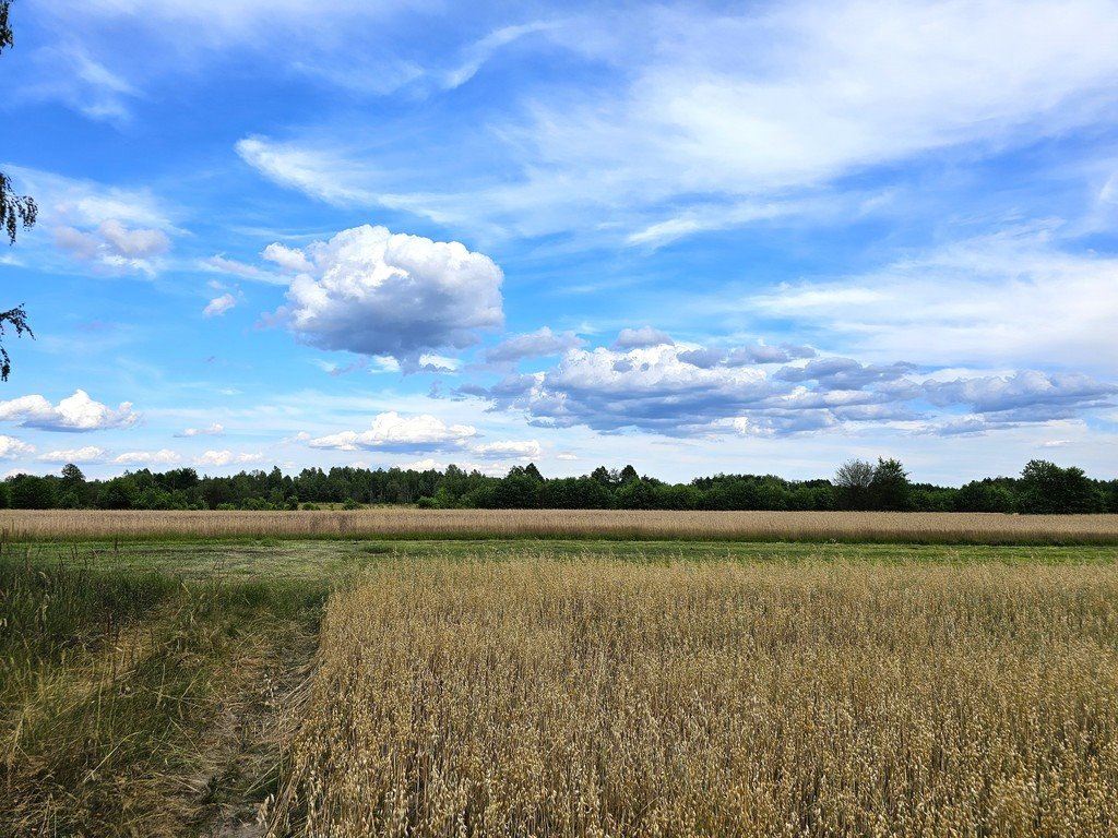 Działka inna na sprzedaż Leszkowice  21 188m2 Foto 5