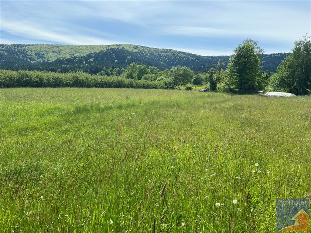 Działka budowlana na sprzedaż Podłopień  4 058m2 Foto 3