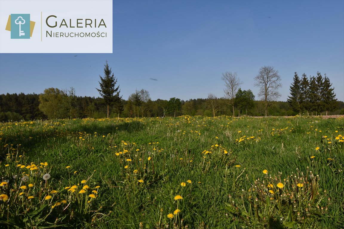 Działka budowlana na sprzedaż Aniołowo  1 739m2 Foto 1