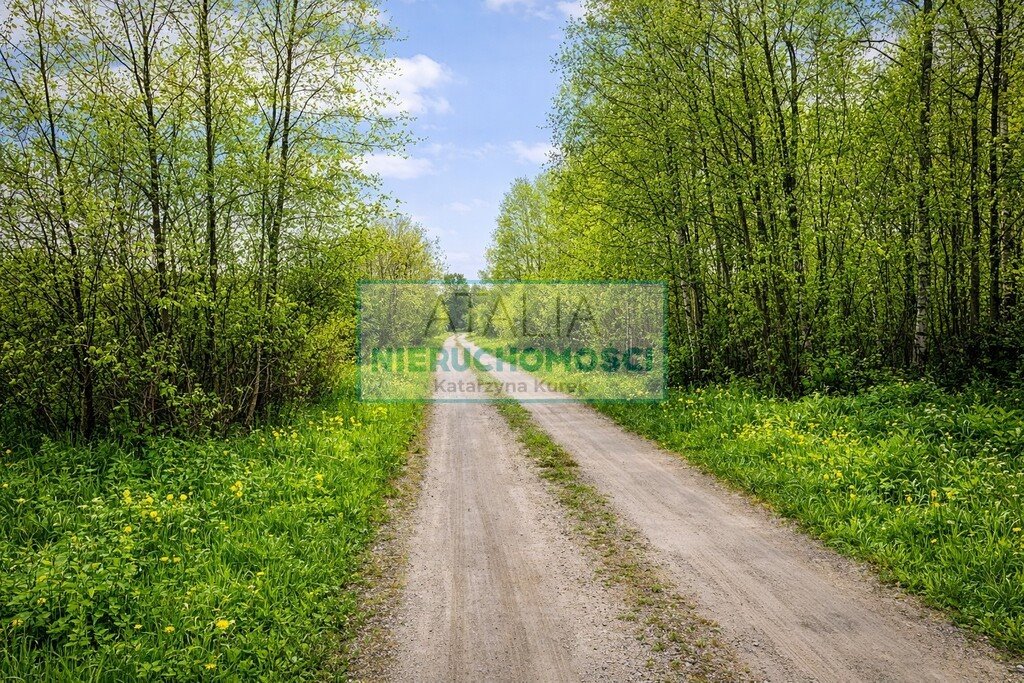 Zapraszam do zakupu działki rolnej 24 850 m² z wodą i prądem Nowa Bukówka  24 850m2 Foto 1