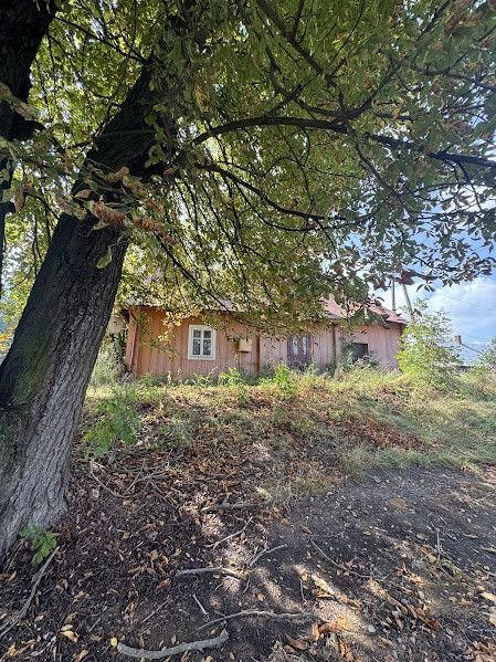 Działka z domem i budynkami, 20,55 ar, Stara Wieś Hucisko, Stara Wieś  2 055m2 Foto 1