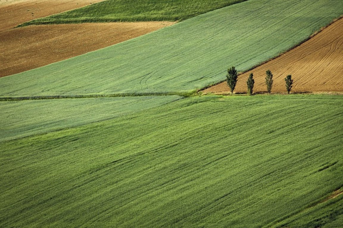 Działka przemysłowo-handlowa na sprzedaż Ożarów Mazowiecki  5 000m2 Foto 1