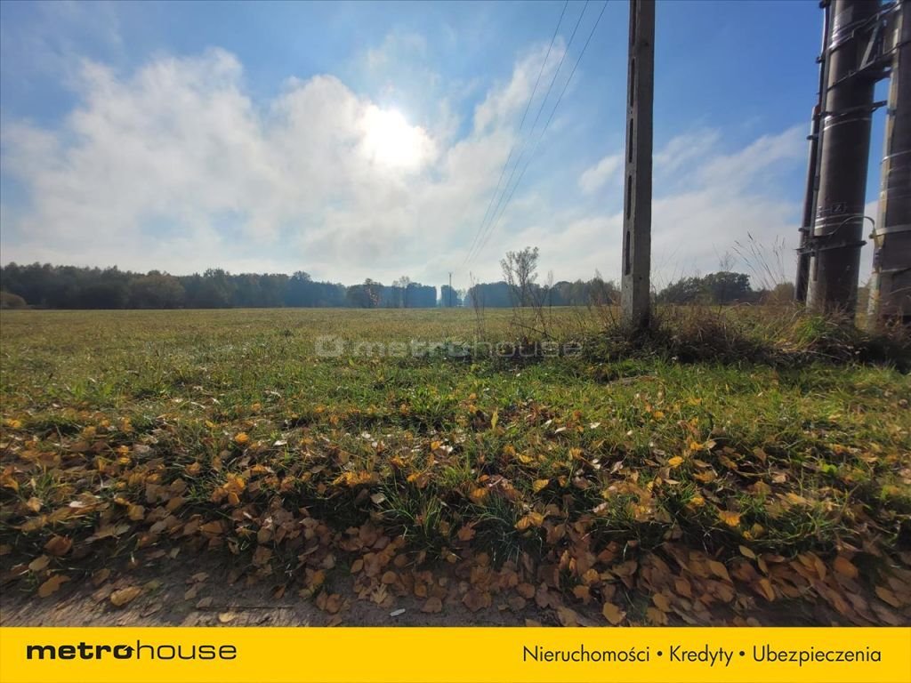 Działka inna na sprzedaż Mokre  4 850m2 Foto 5