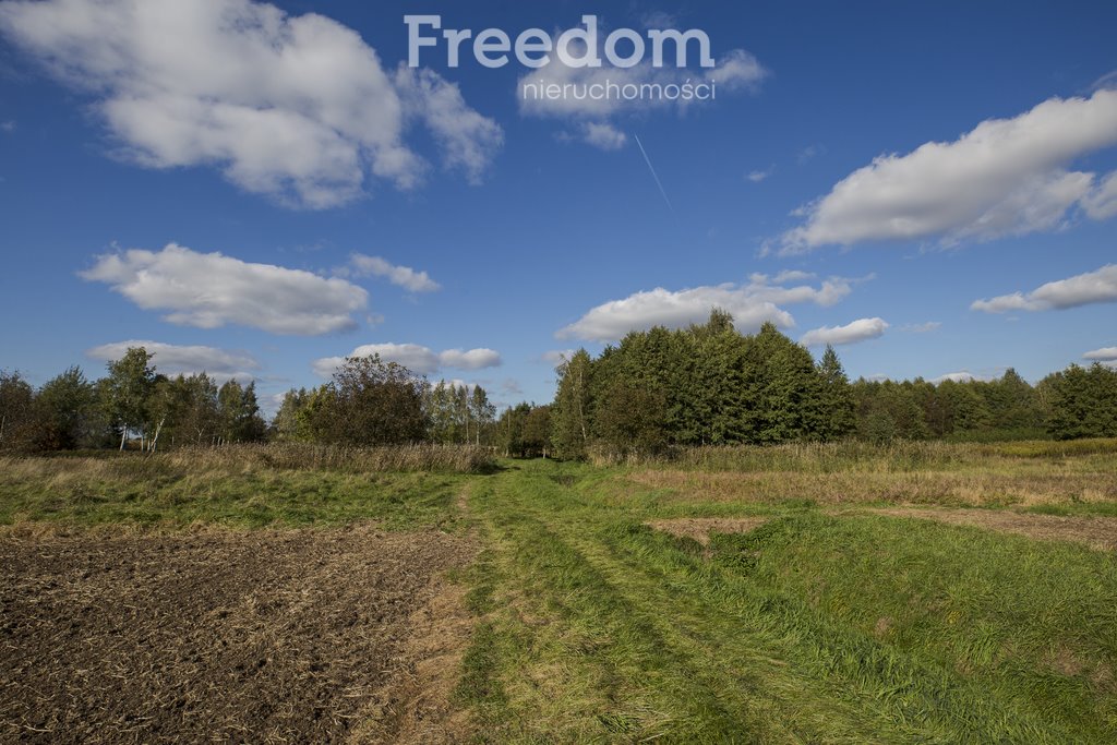 Działka rolna na sprzedaż Trzciana  1 000m2 Foto 14