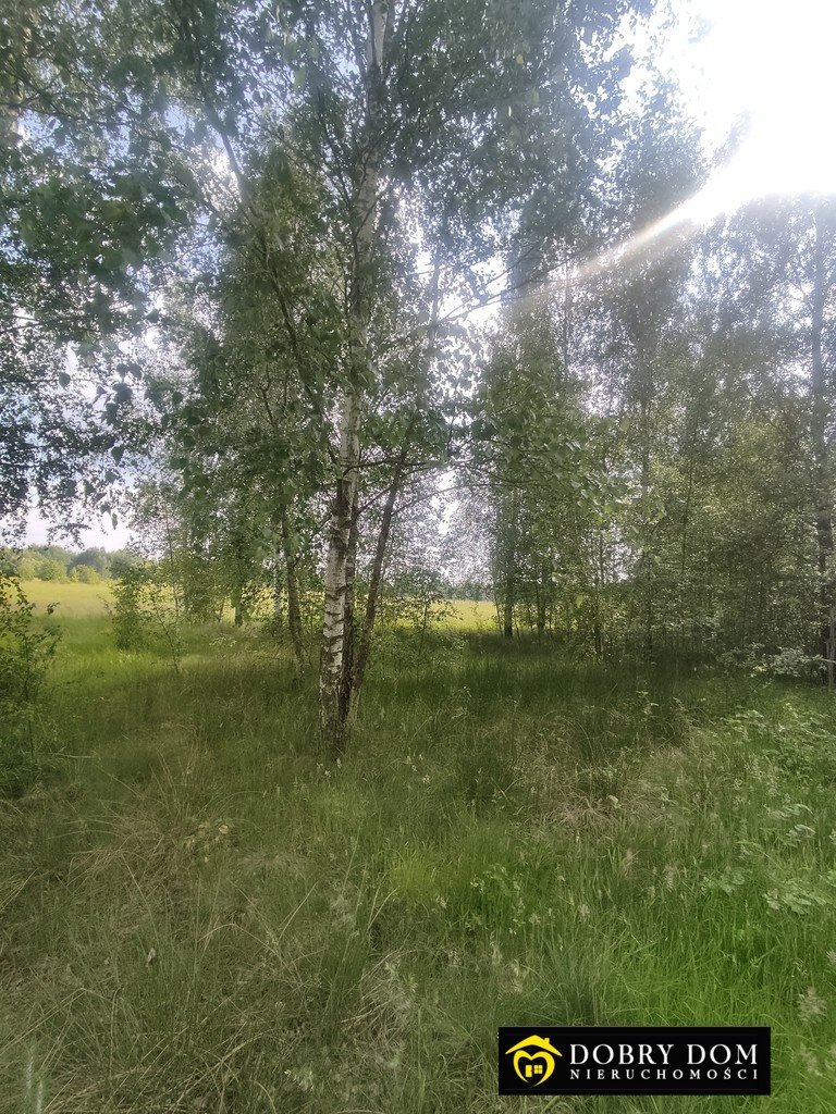 Działka siedliskowa na sprzedaż Michnówka  14 140m2 Foto 2